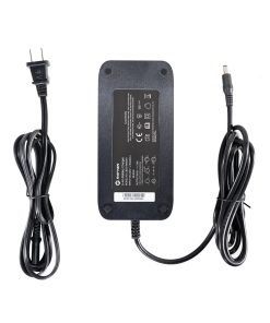 Rattan Replacement BATTERY CHARGER 48V 3A With DC Connector